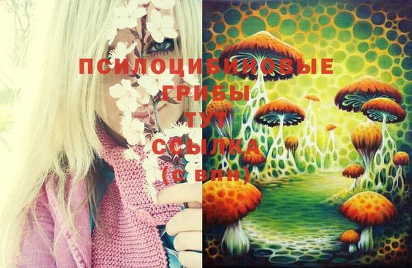 прущие крисы Верхний Тагил